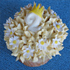 Birthday Cupcakes