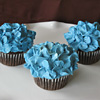 Blue Cupcakes