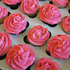 Cupcakes To Go