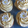 Daisy Cupcakes