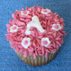Pink Cupcake